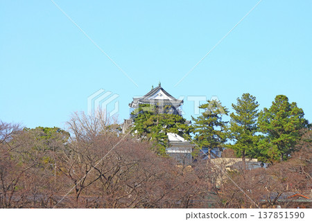 Scenery of Okazaki Castle, Okazaki City, Aichi Prefecture 137851590
