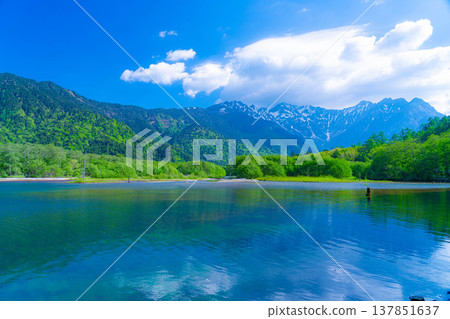 [Spectacular Scenery] Early Summer in Kamikochi: Taisho Pond and the Hotaka Mountain Range in Fresh Greenery [Nagano Prefecture] 137851637