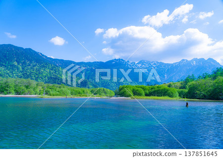 【壯麗景色】上高地初夏:大正池與穗高山脈綠意盎然【長野縣】 【壯麗景色】上高地初夏:大正池與穗高山脈綠意盎然【長野縣】 137851645