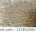 Faux fur material 137852089