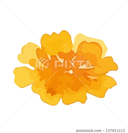 Watercolor-style illustration of marigolds Watercolor-style illustration of marigolds 137852223