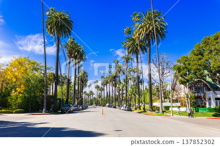 洛杉磯比佛利山莊住宅區 137852302