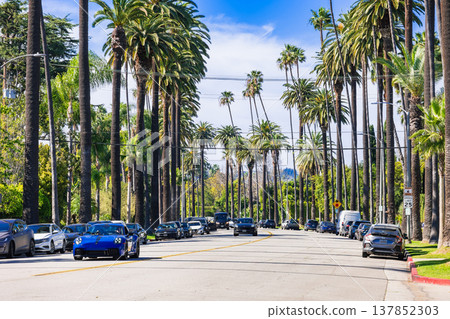 Residential area of Beverly Hills, Los Angeles Residential area of Beverly Hills, Los Angeles 137852303