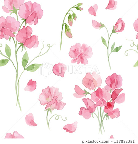 Watercolor-style illustration of sweet peas Watercolor-style illustration of sweet peas 137852381