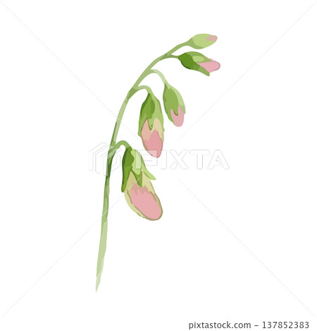 Watercolor-style illustration of sweet peas Watercolor-style illustration of sweet peas 137852383