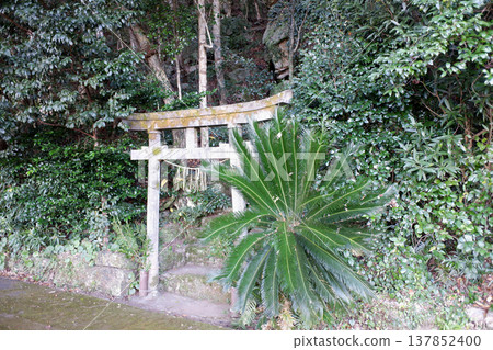 高知縣府戶藏水市灶門神社 137852400