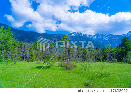 [Spectacular Scenery] Kamikochi's Tashiro Marsh and Fresh Greenery in Early Summer [Nagano Prefecture] 137852602
