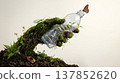 Nature reclaims plastic bottle with new life, plants, insects, and butterfly 137852620