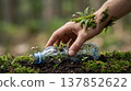 Hand planting a plastic bottle with new life growing from it in the forest 137852622