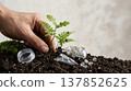 Hand planting a small oak sapling in soil with plastic waste and ladybugs 137852625