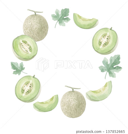 Watercolor-style illustration of a green-fleshed melon 137852665