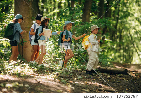 Weekend activities, walking. Group of children in the forest on a hike Weekend activities, walking. Group of children in the forest on a hike 137852767