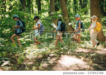 By the help of a rope that is in hands. Group of children in the forest on a hike By the help of a rope that is in hands. Group of children in the forest on a hike 137852789