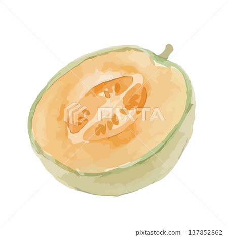 水彩風格的紅肉甜瓜插圖 水彩風格的紅肉甜瓜插圖 137852862