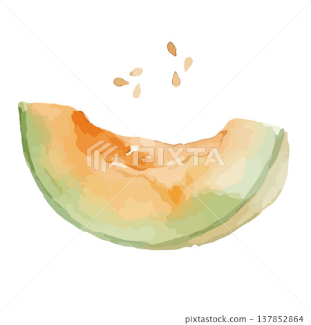 水彩風格的紅肉甜瓜插圖 水彩風格的紅肉甜瓜插圖 137852864