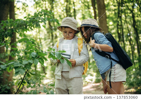 Boy and girl are exploring plants in the forest Boy and girl are exploring plants in the forest 137853060