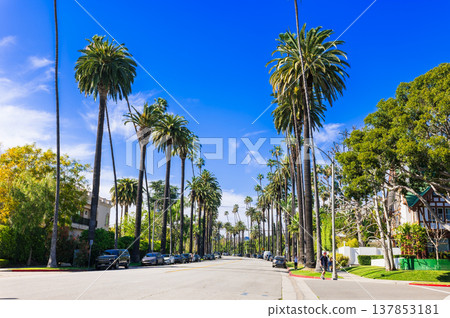 Residential area of Beverly Hills, Los Angeles Residential area of Beverly Hills, Los Angeles 137853181