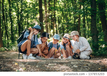Focused, looking down, sitting, map. Group of children in the forest on a hike Focused, looking down, sitting, map. Group of children in the forest on a hike 137853203