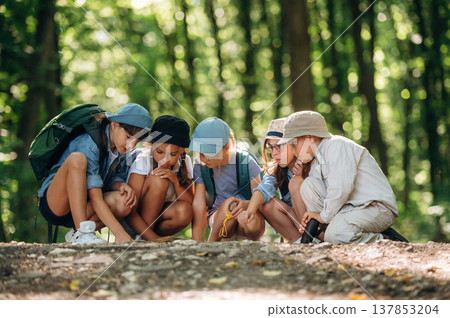 Focused, looking down, sitting, map. Group of children in the forest on a hike 137853204