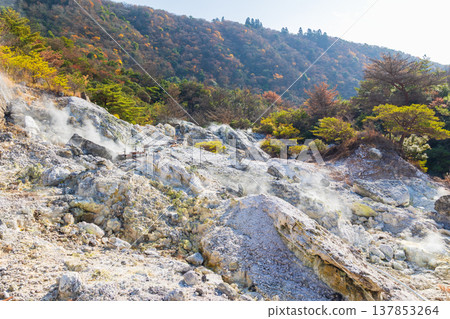 秋天的長崎縣雲仙溫泉:雲仙地獄 秋天的長崎縣雲仙溫泉:雲仙地獄 137853264