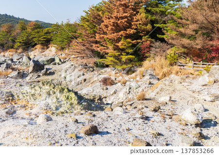 Unzen Onsen in Nagasaki Prefecture in Autumn: Unzen Hell 137853266