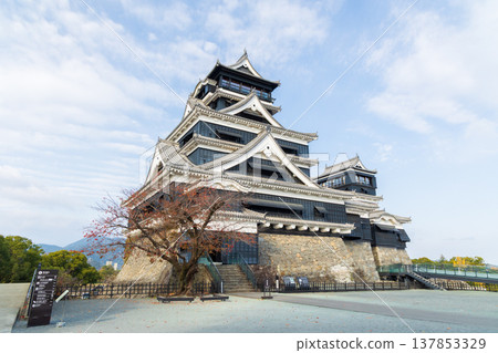 熊本縣熊本市的秋天:熊本城,日本百座名城之一,及其天守閣。 熊本縣熊本市的秋天:熊本城,日本百座名城之一,及其天守閣。 137853329