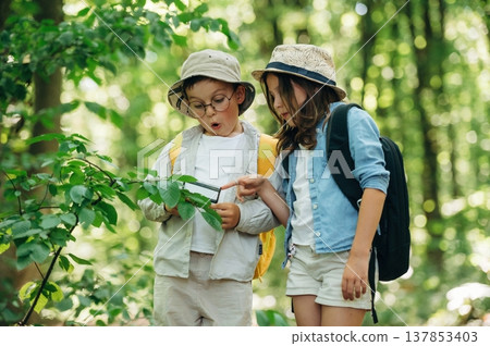 Surprised, shocked facial expression. Boy and girl are exploring plants in the forest Surprised, shocked facial expression. Boy and girl are exploring plants in the forest 137853403