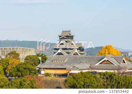 熊本縣熊本市的秋天：從熊本市政廳展望大廳眺望熊本城。 137853442