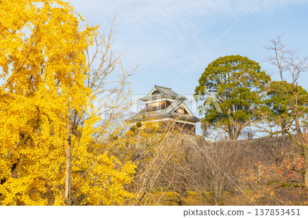 熊本縣熊本市的秋景:熊本城,日本百座名城之一,羊猿塔樓 熊本縣熊本市的秋景:熊本城,日本百座名城之一,羊猿塔樓 137853451