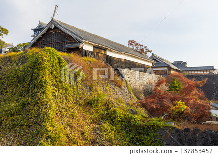 熊本縣熊本市的秋景:熊本城,日本百座名城之一,數寄山丸二樓大廳 熊本縣熊本市的秋景:熊本城,日本百座名城之一,數寄山丸二樓大廳 137853452