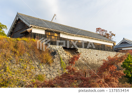 熊本縣熊本市的秋景：熊本城，日本百座名城之一，數寄山丸二樓大廳 137853454