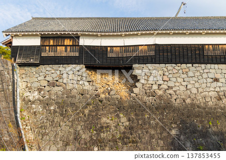 熊本縣熊本市的秋景：熊本城，日本百座名城之一，數寄山丸二樓大廳 137853455