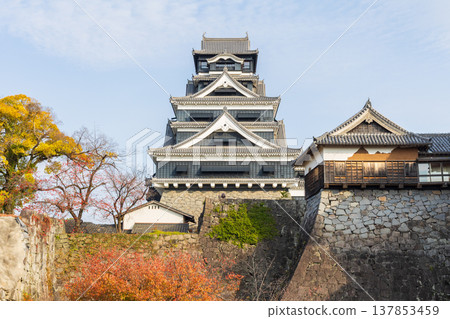 熊本城,日本百大城堡之一,位於熊本縣熊本市,秋季景色。 熊本城,日本百大城堡之一,位於熊本縣熊本市,秋季景色。 137853459