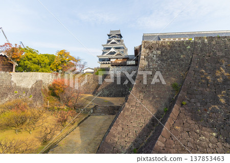 熊本縣熊本市的秋天:熊本城,日本百座名城之一,有兩種類型的石牆。 熊本縣熊本市的秋天:熊本城,日本百座名城之一,有兩種類型的石牆。 137853463