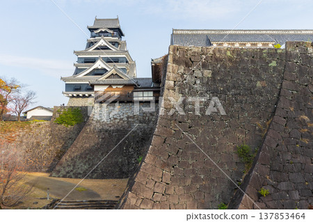 Autumn in Kumamoto City, Kumamoto Prefecture: Kumamoto Castle, one of Japan's 100 Famous Castles, with its two types of stone walls. Autumn in Kumamoto City, Kumamoto Prefecture: Kumamoto Castle, one of Japan's 100 Famous Castles, with its two types of stone walls. 137853464