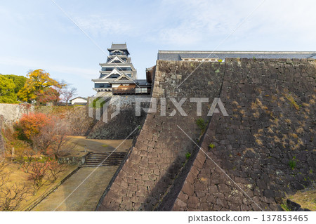 熊本縣熊本市的秋天：熊本城，日本百座名城之一，有兩種類型的石牆。 137853465