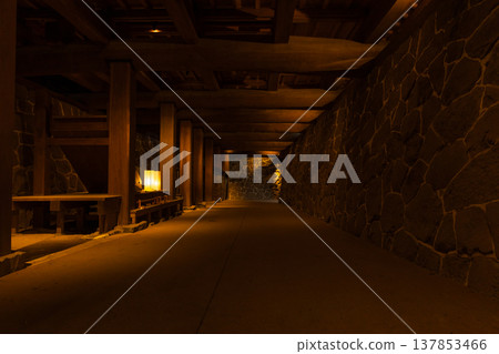 Autumn in Kumamoto City, Kumamoto Prefecture: Kumamoto Castle, one of Japan's 100 Famous Castles, and a dark passageway. Autumn in Kumamoto City, Kumamoto Prefecture: Kumamoto Castle, one of Japan's 100 Famous Castles, and a dark passageway. 137853466