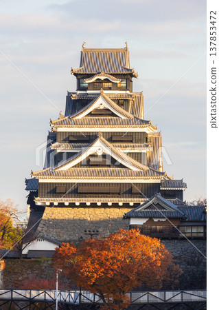 秋天的熊本縣熊本市熊本城:日本百座名城之一,清晨的熊本城。 秋天的熊本縣熊本市熊本城:日本百座名城之一,清晨的熊本城。 137853472