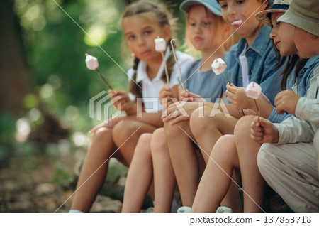Resting and eating marshmallow. Group of children in the forest on a hike 137853718