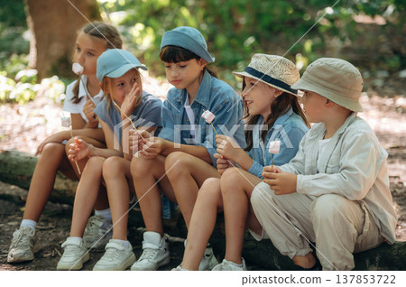 Break time, with marshmallows. Group of children in the forest on a hike Break time, with marshmallows. Group of children in the forest on a hike 137853722