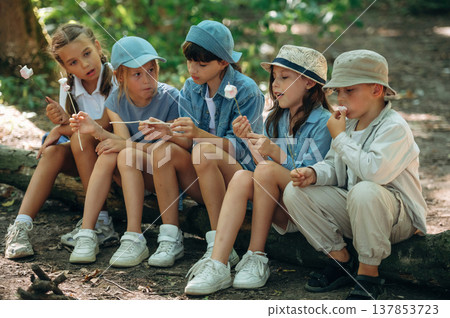 Break time, with marshmallows. Group of children in the forest on a hike Break time, with marshmallows. Group of children in the forest on a hike 137853723