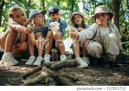 Cheerful, marshmallow time, sitting. Group of children in the forest on a hike Cheerful, marshmallow time, sitting. Group of children in the forest on a hike 137853732
