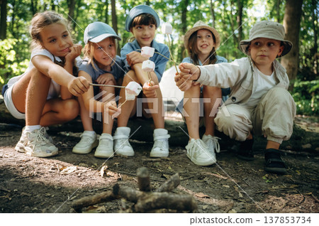 Marshmallow on the sticks. Group of children in the forest on a hike Marshmallow on the sticks. Group of children in the forest on a hike 137853734