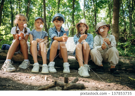 Marshmallow on the sticks. Group of children in the forest on a hike Marshmallow on the sticks. Group of children in the forest on a hike 137853735