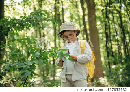 Examining the plant by using magnifying glass. Cute little boy hiker is in the forest Examining the plant by using magnifying glass. Cute little boy hiker is in the forest 137853782