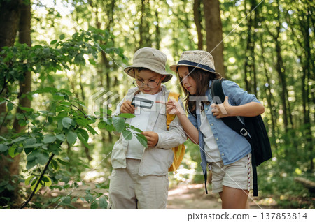 Using magnifying glass. Boy and girl are exploring plants in the forest 137853814