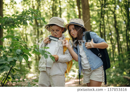 Boy and girl are exploring plants in the forest 137853816