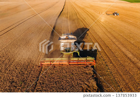 Agricultural machine harvesting wheat 137853933