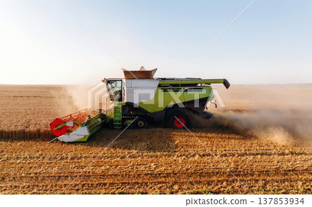 Agricultural machine harvesting wheat Agricultural machine harvesting wheat 137853934