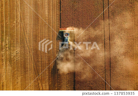 Top aerial view. Agricultural machine harvesting wheat 137853935